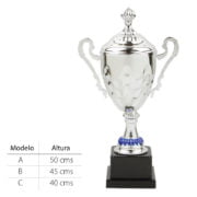 Copa Burgos