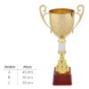 Copa Oviedo