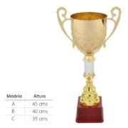 Copa Oviedo