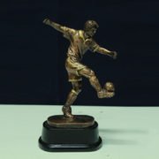 Premio Jugador